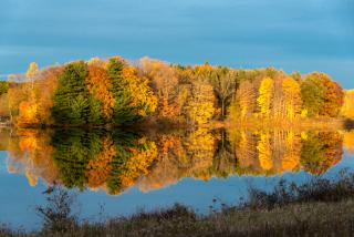 Yellow and orange trees reflecting over a clear lake with blue sky above