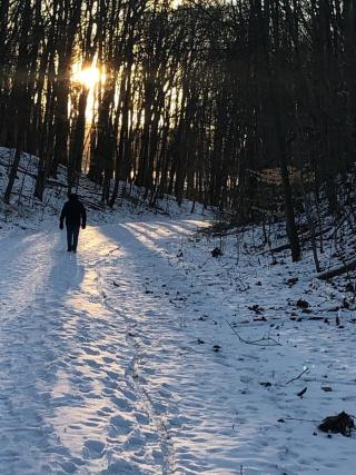 footprints lead down a snow covered trail, sunlight shines through dark trees above a person walking down the trail