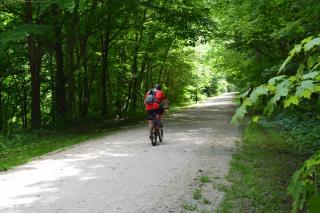 cyclist with red shirt and black helmet riding on limestone trail shaded with green trees on either side