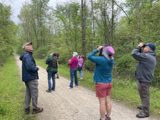 Birders using binoculars on a trail 