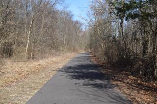 asphalt paved trail with leafless trees on either side 