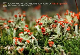 lichen field guide