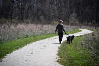 person walking on trail with dog