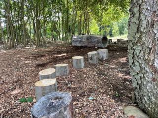 logs in the nature play space 