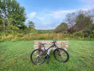bicycle leans up against a park bench on green grass with trees and blue skies in the background