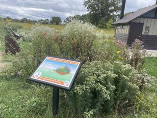 A garden sign illuminates a green space full of tall native wildflowers and grasses
