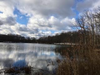 Seneca Ponds looking over the water with leafless trees on the right and blue sky with white clouds above