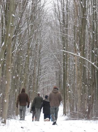 hikers on snowy path
