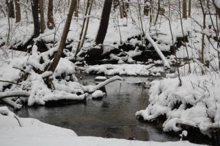 a stream meanders through snow covered banks