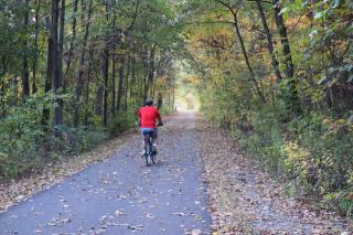Paved hike and bike path through tall trees on the sides with fall leaves on ground and biker facing away