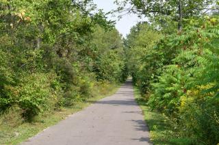 asphalt paved trail with green shrubs and trees on either side