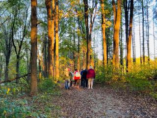 A group of hikers faces away from the camera heading down a leaf covered trail flanked by tall trees. 