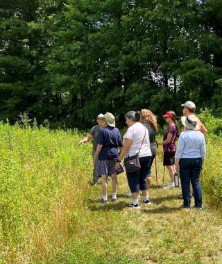 group of seniors hiking along green meadow trail