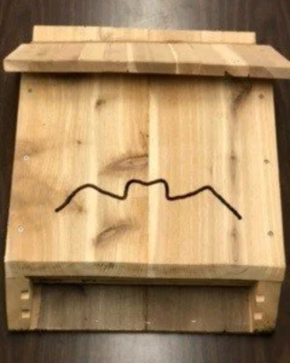 wooden bat house