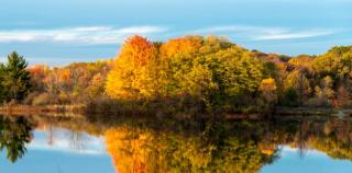 Landscape of trees in Autumn reflecting on still lake 