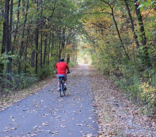 bicyclists with a red shirt and black helmet riding on an asphalt trail through the woods.