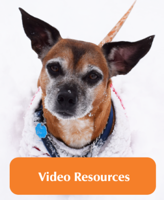 Video resources picture