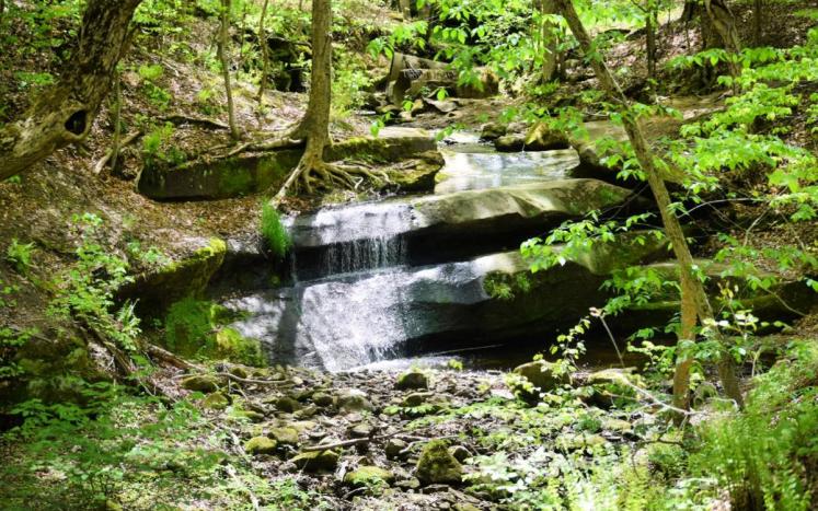 Photo by Jennifer Robinson waterfall amid lush greenery