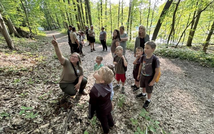 A group of children pause on a natural surface path to view what an adult is pointing at in the trees.