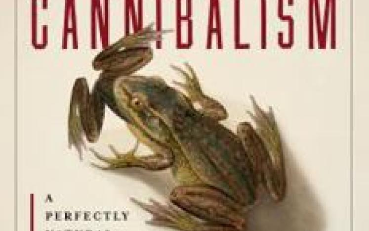 cover art for Cannibalism by Bill Schutt