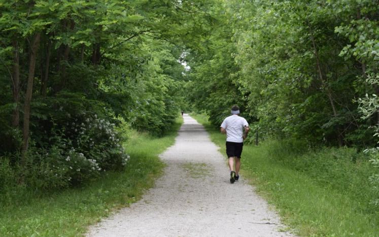 person using hiking path surrounded by greenery