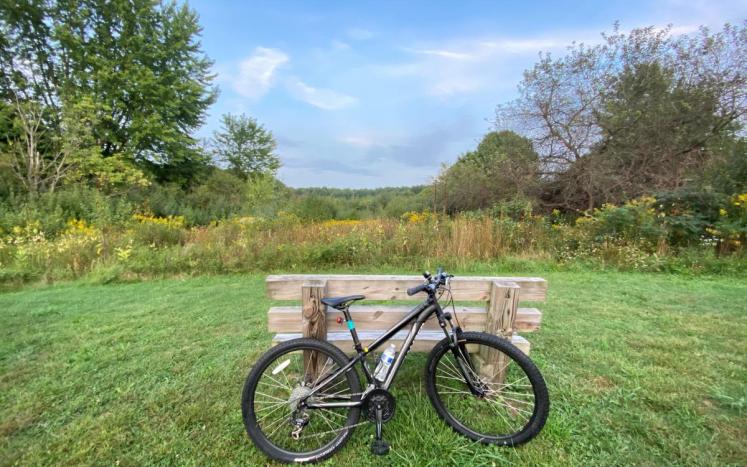 Photo by Alex Green bike leaning against bench with green grass and trees in background
