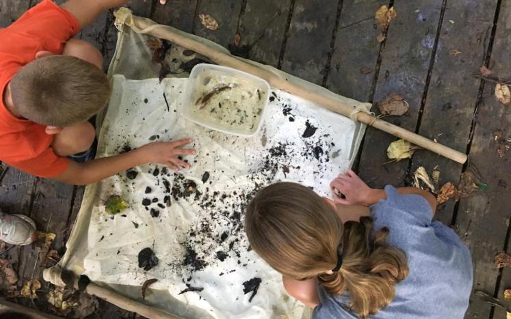 Photo credit Nancy Schiappa kids looking through a sein net for aquatic macroinvertebrates