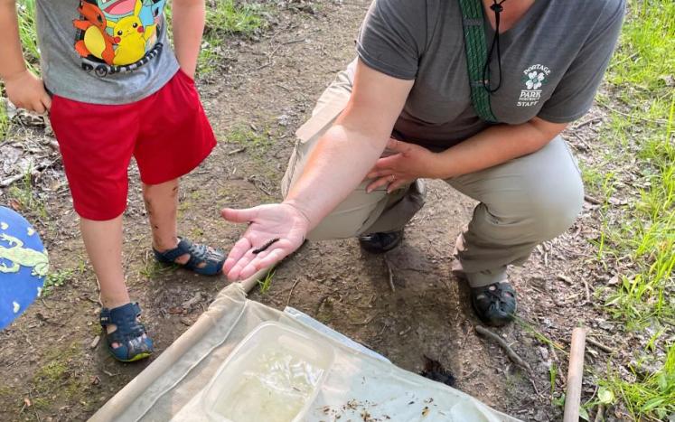 jen touching a wet critter