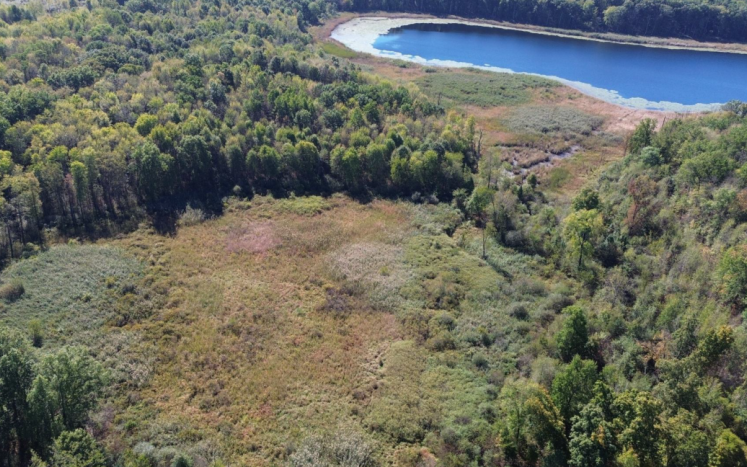 Aerial view of Crystal Lake with blue lake at the tope of the photo and wooded wetland at the bottom of the photo
