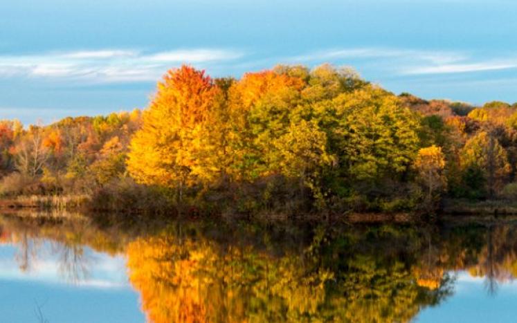 Landscape of trees in Autumn reflecting on still lake 