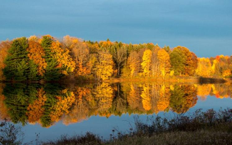 Lake Reflecting trees in Fall