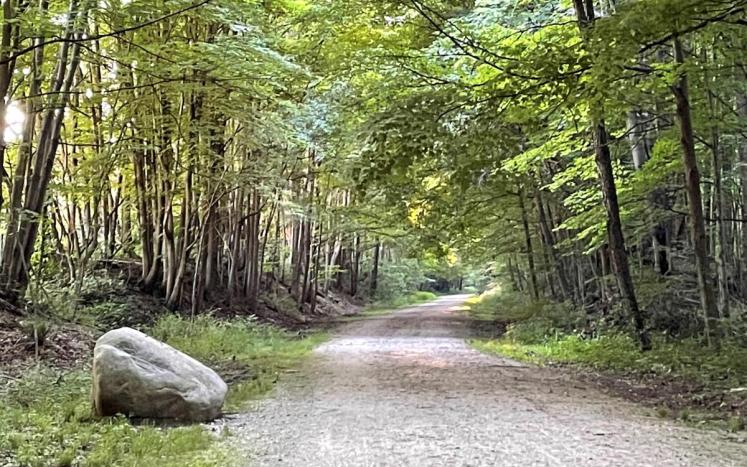 Headwaters Trail looking west near Limeridge Road