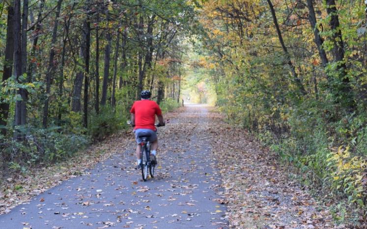 bicyclists with a red shirt and black helmet riding on an asphalt trail through the woods.