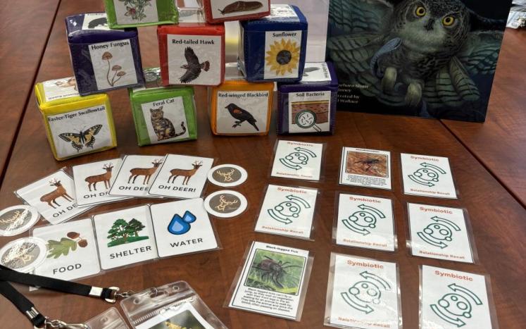 Display of activities found in Ecology Teacher Tote