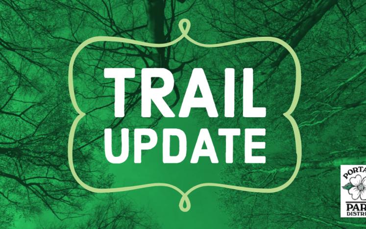 A First Person Perspective of Someone looking towards the tops of trees with green tinge and the the words Trail update in the c